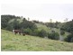 Allworth NSW 2425