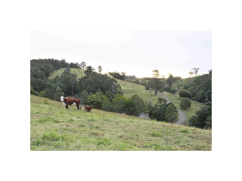 Allworth NSW 2425