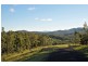 Allworth NSW 2425