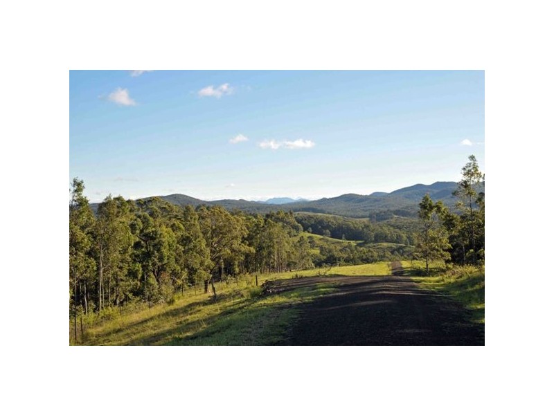 Allworth NSW 2425