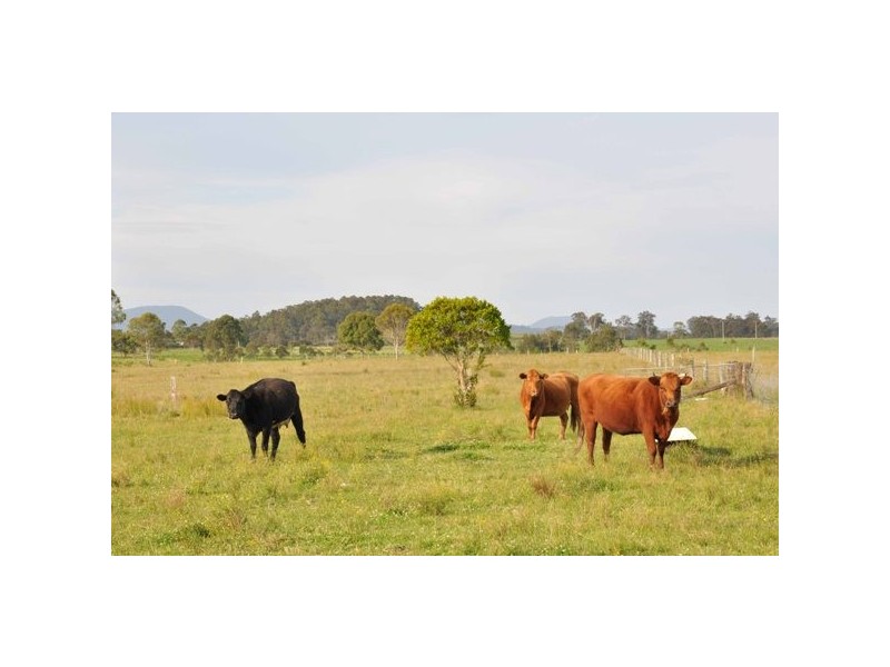 760 Warraba Rd, The Branch NSW 2425