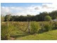 Stroud NSW 2425