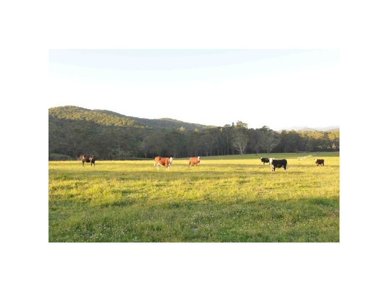 2069 Bucketts Way, Booral NSW 2425