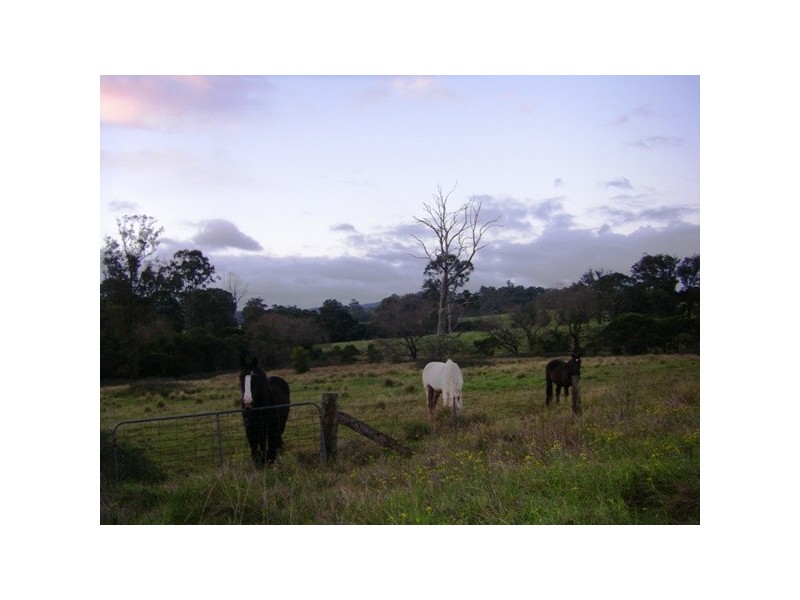 Stroud NSW 2425