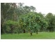 Stroud NSW 2425
