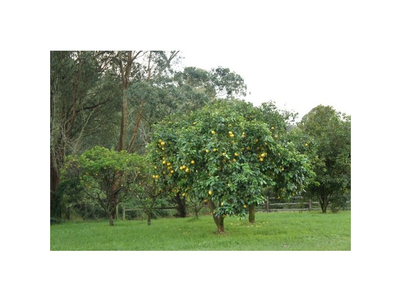 Stroud NSW 2425