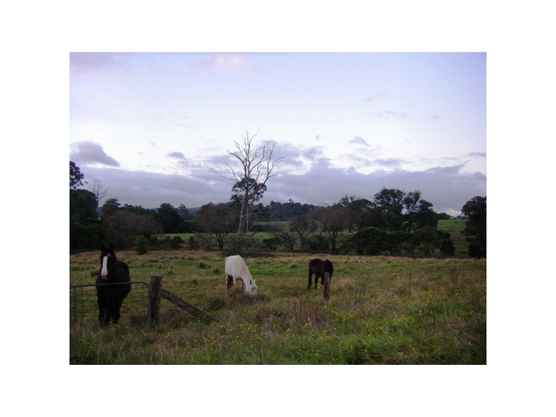 Stroud NSW 2425