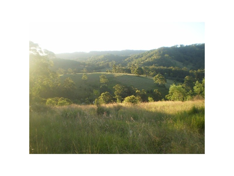 Dungog NSW 2420