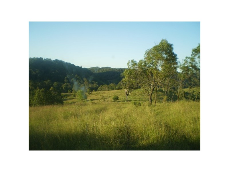 Dungog NSW 2420