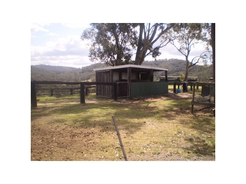 Dungog NSW 2420