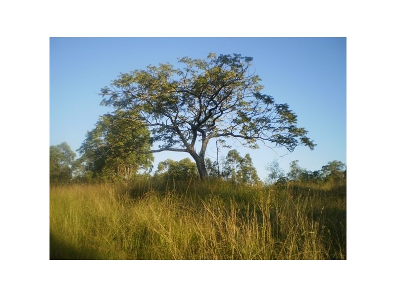 Dungog NSW 2420