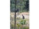 Bulahdelah NSW 2423