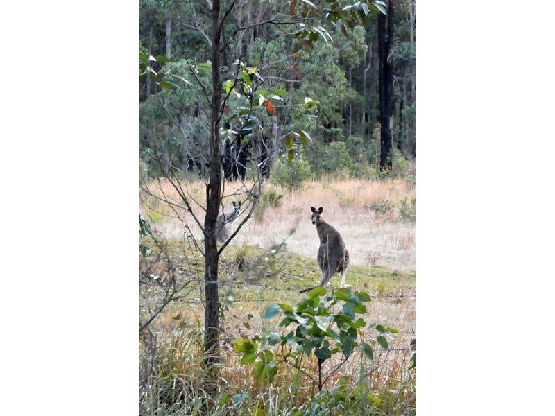 Bulahdelah NSW 2423