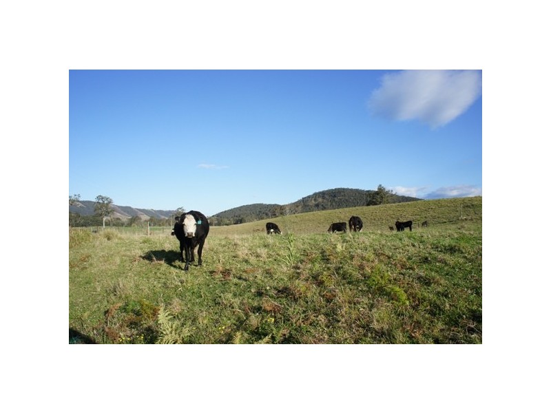Monkerai NSW 2415