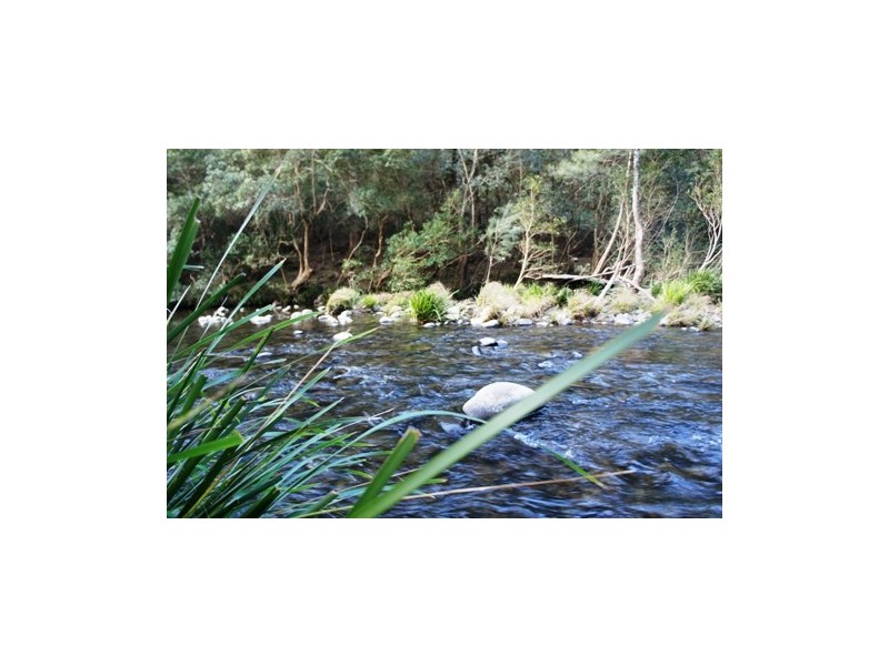 Monkerai NSW 2415