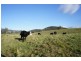 Monkerai NSW 2415