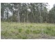 Nooroo NSW 2415