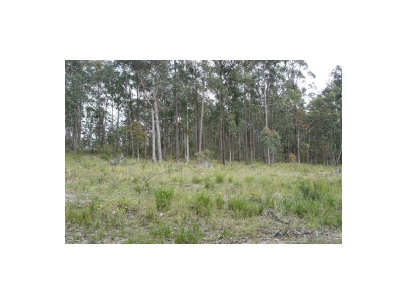 Nooroo NSW 2415