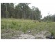 Nooroo NSW 2415