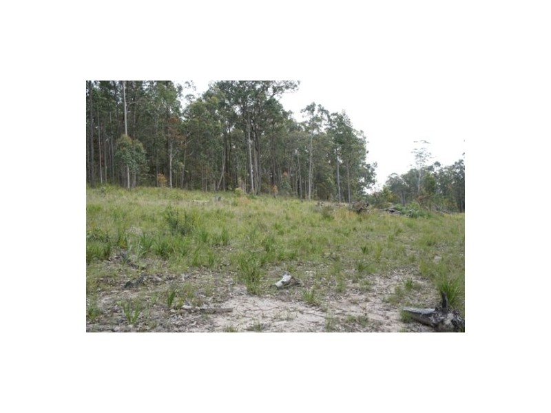 Nooroo NSW 2415