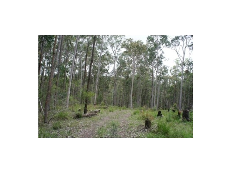 Nooroo NSW 2415
