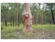 Lot 87 Old Inn Rd, Bulahdelah NSW 2423