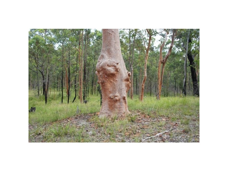 Lot 87 Old Inn Rd, Bulahdelah NSW 2423