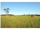 416 Gunjula Drive, The Branch NSW 2425