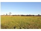416 Gunjula Drive, The Branch NSW 2425