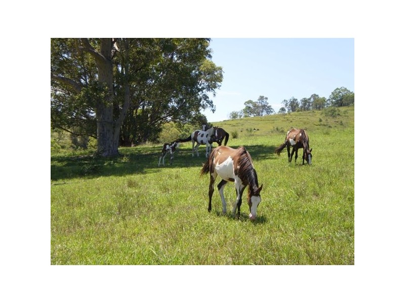 Stroud NSW 2425