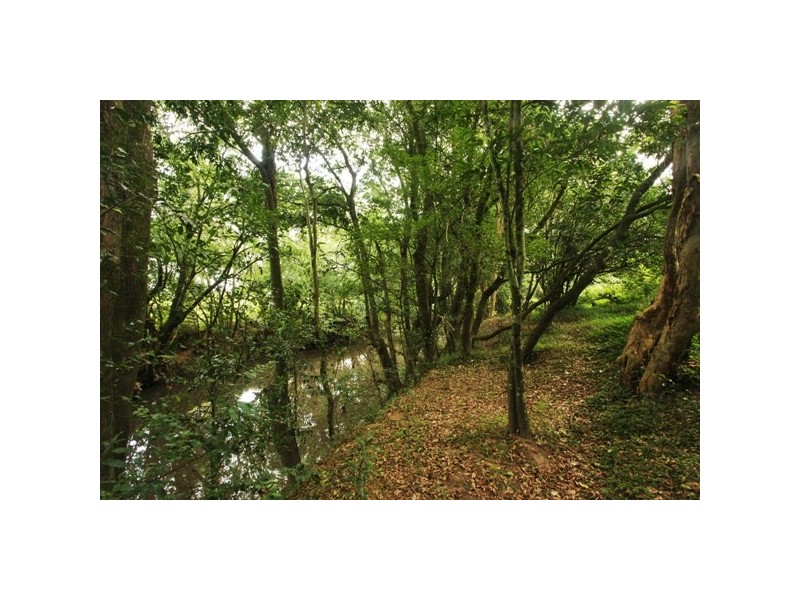 Stroud Road NSW 2415