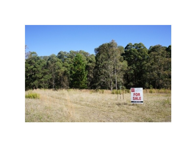 The Branch NSW 2425