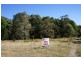 The Branch NSW 2425