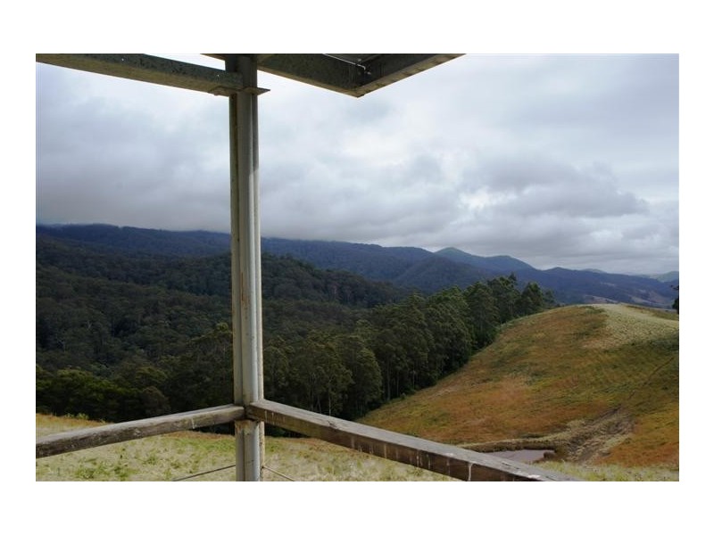 Berrico NSW 2422