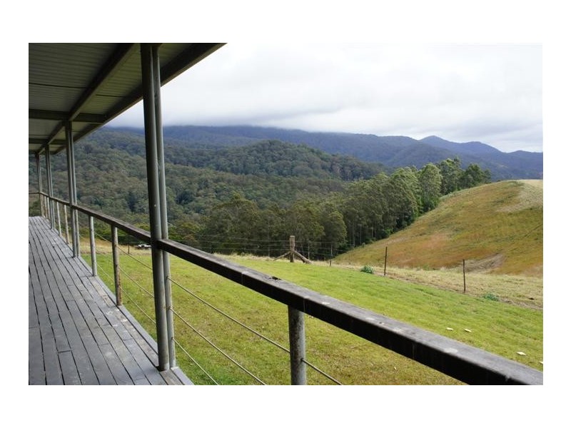 Berrico NSW 2422