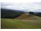 Berrico NSW 2422
