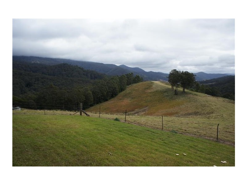 Berrico NSW 2422