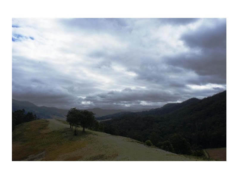 Berrico NSW 2422