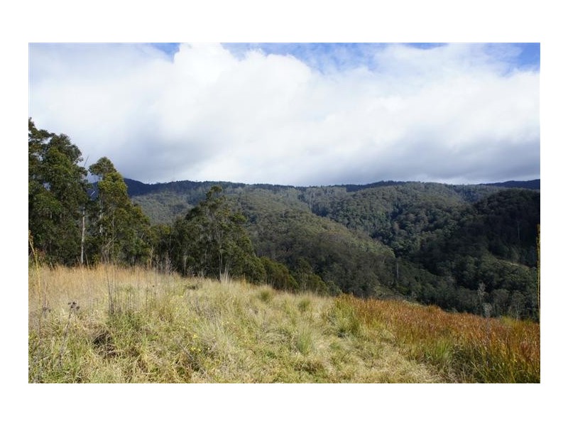 Berrico NSW 2422