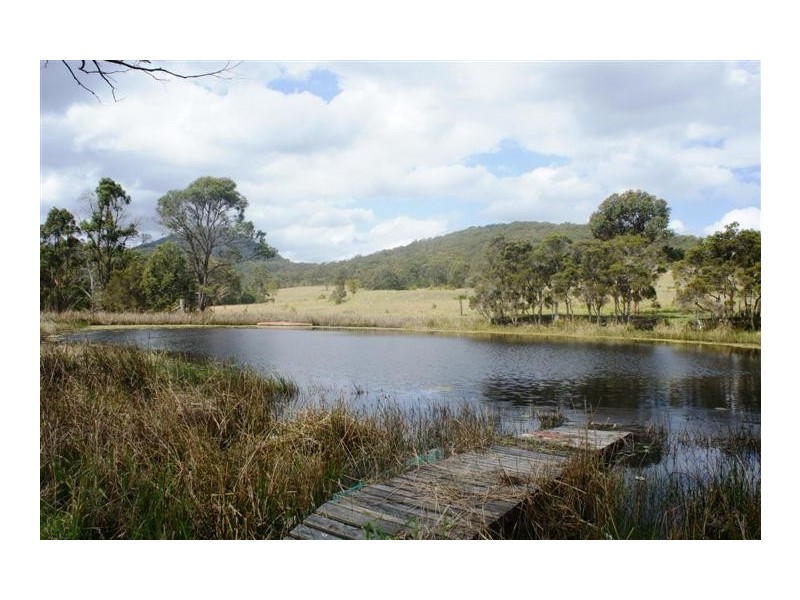 The Branch NSW 2425