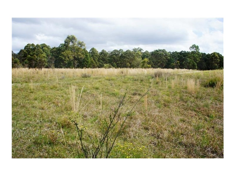 The Branch NSW 2425