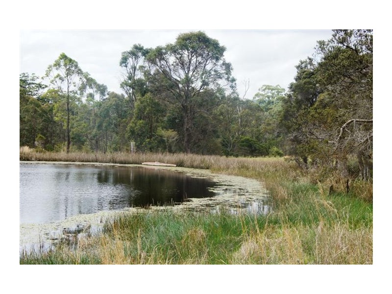 The Branch NSW 2425