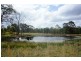 The Branch NSW 2425