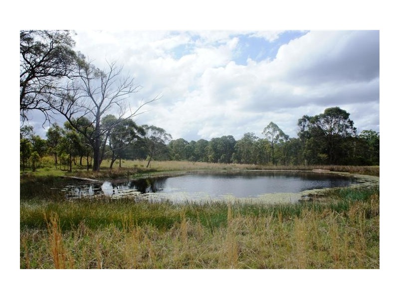 The Branch NSW 2425