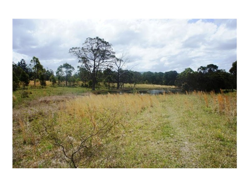 The Branch NSW 2425