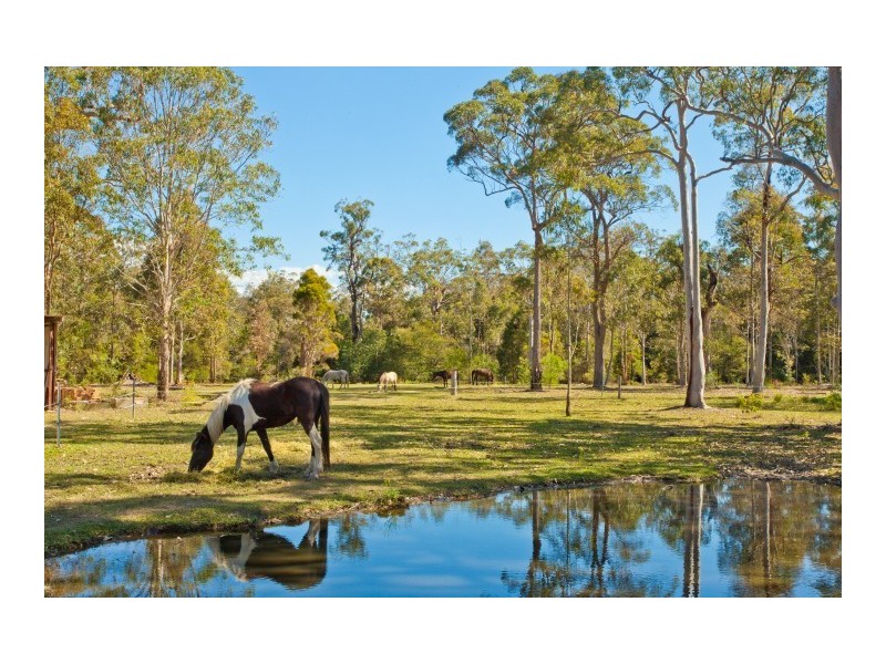 Twelve Mile Creek NSW 2324