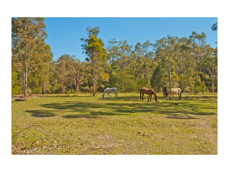 Twelve Mile Creek NSW 2324