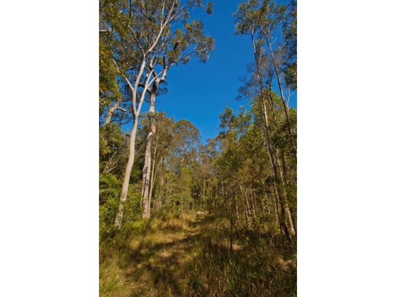 Twelve Mile Creek NSW 2324