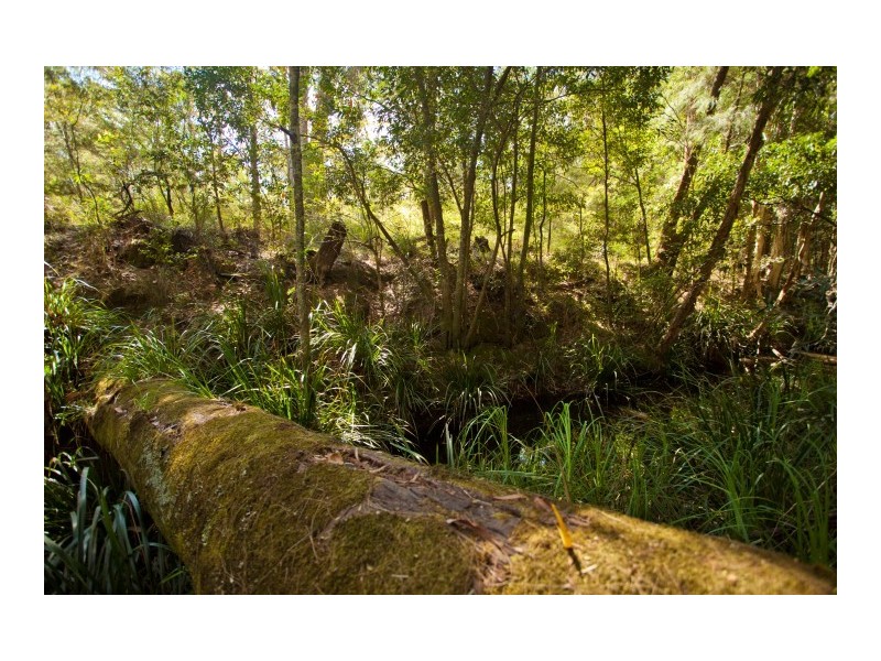 Twelve Mile Creek NSW 2324