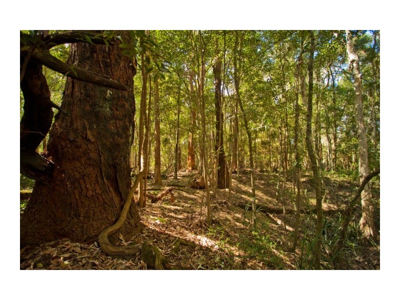 Twelve Mile Creek NSW 2324